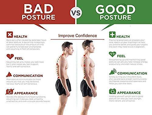 Posture Perfect Wellness Belt - Unisex Back Support